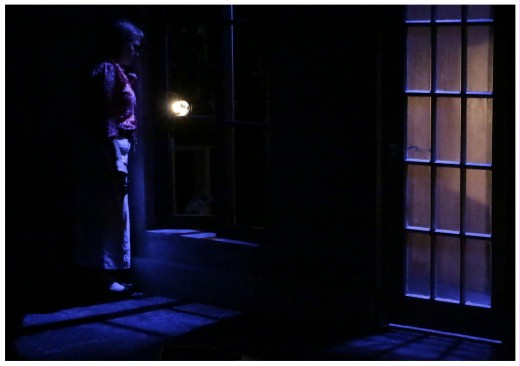 (Image: At Night, Paulina Listens at the
 Living Room Window to a Conversation in the Driveway)