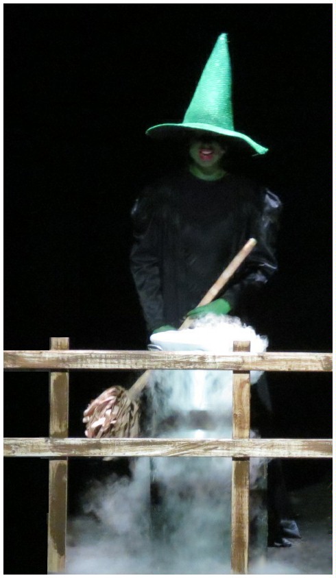 (Image: The Wicked Witch of the West Stands
 behind a Steaming Cauldron)